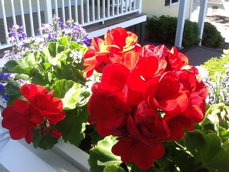 Harbor House Inn Boothbay Harbor Luaran gambar